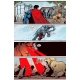 Superman,  Adventures ,  5 str 5